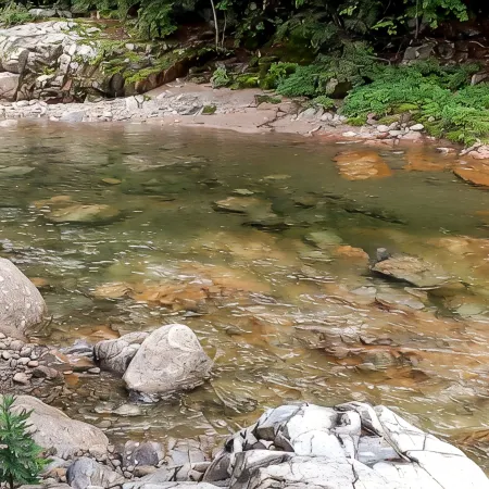 Namwon Flora Pension