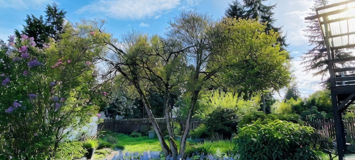 Peaceful Home-Centrally Located West Hill, Kent Ξενοδοχεία στην πόλη Kent