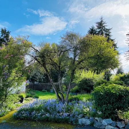 Peaceful Home-Centrally Located West Hill, Kent