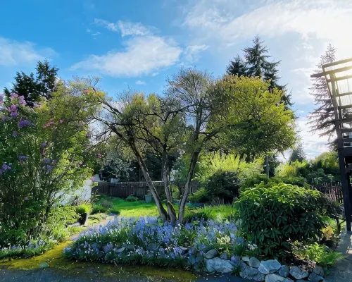 Peaceful Home-Centrally Located West Hill, Kent Hotels in Kent