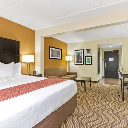 Comfort Inn & Suites Tampa North I-75