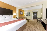 Comfort Inn & Suites Tampa North I-75