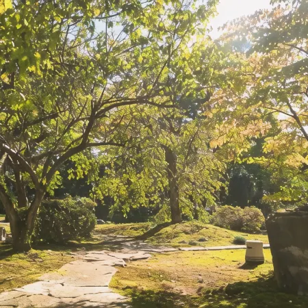 Tanakaya