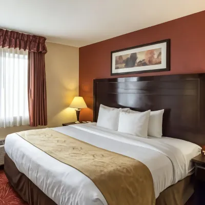 Comfort Suites Airport Hotels near St Catherine of Siena Catholic Church