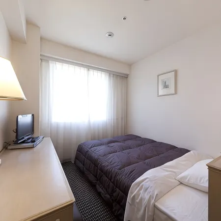 Kumamoto Washington Hotel Plaza