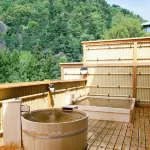Sasaya Hotel - Hot Springs