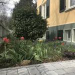 3 bedroom Jugendstilwohnung near the castle - Wifi
