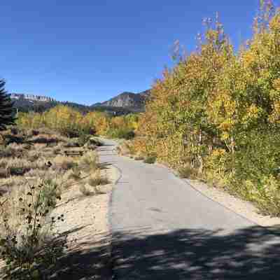Clean modern farmhouse in Snowcreek with 4 minute walk to shuttle and preserve Others
