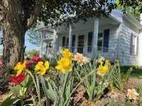 Peaceful cottage in farmland - close to Luray, Shenandoah River & National Park - 2-Star