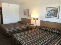Selby Motel - Bares