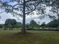 Cozy home in Montura. Within minutes from Clewiston. Quiet & a lot to do for all - Homestays