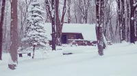 Seven Springs Cabin - Luna Chalet - Authentic, Pet Friendly Log Cabin - Chalets