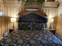 Cozy Log Cabin Near the Parkway - Homestays