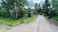 Private and peaceful 3 br cabin in the woods with new Hot Tub - Hytter