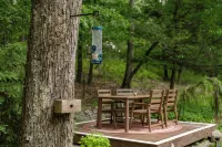 Secluded Cabin Retreat on 6 Acres w/ Fireplace, Trails, Creek & Record Player - WiFi
