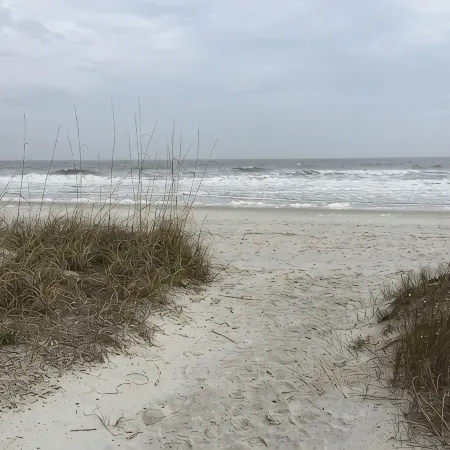 1st Floor Amelia South's Oceanfront Crown Jewel