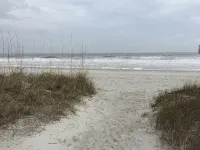 1st Floor Amelia South's Oceanfront Crown Jewel - Beach
