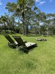 Dragonfly Healing Farm - Country Houses