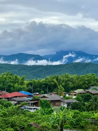 รูปภาพของCafe De Doikaeo คาเฟ่ เดอ ดอยแก้ว