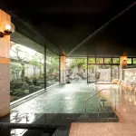 Fujiya Hotel - Hot Springs