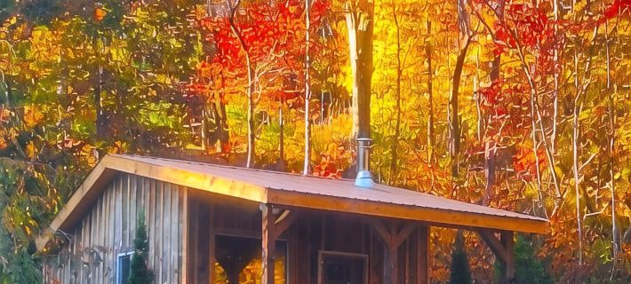 Secluded Mountain Cabin on Private Pond · Fireplace · Hiking Trails · WiFi Hotele w: McDowell County