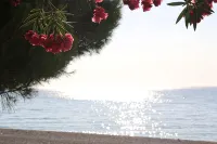 ChrisMare Hotel - Beach