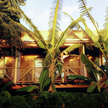 Cabañas Te Maori