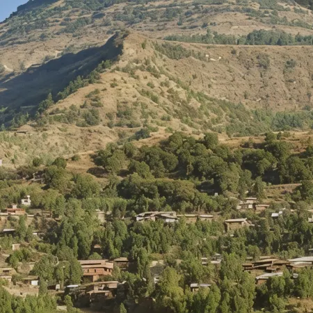 Birhanu Home Stay