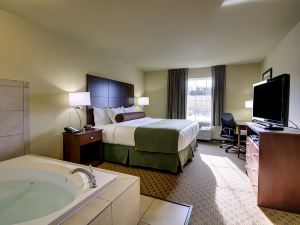 Cobblestone Inn & Suites - Hartington