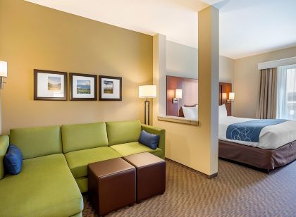 Comfort Suites Burlington Near I-5