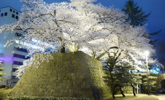 Hotel Fukui Castle