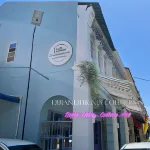 Urban Designer Collection