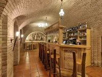 Mercure Sighisoara Binderbubi Hotel & Spa - Quầy bar