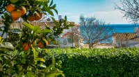 C12 - Sunshine Apartment in Luz Hôtels à : Praia da Luz