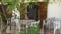 Pefka Studios & Apartments