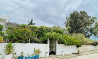 Casa Zitouna- Guest House - Kef, Tunisia