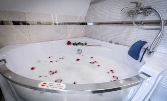 Gąsienica Apartamenty Queen