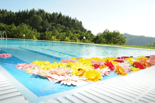 Hotel Rural Quinta da Conchada Hotels in Penacova