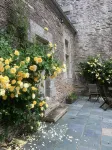 Château Ville Voisin -  case vacanza in affitto