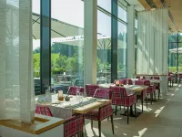 Hotel Edita Hotels in Scheidegg