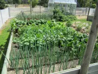 Hawkdun Rise Vineyard & Accommodation