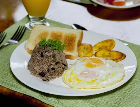Jacamar Corcovado Drake Bay