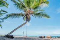 Hotel Serendipity Tortuguero - Beach
