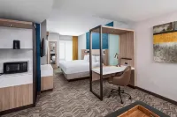 SpringHill Suites Greenville Downtown
