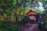 Byron Bay Rainforest Resort