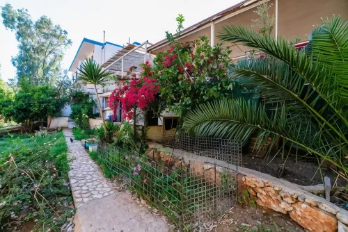 يوكاليبتس بينشن من الخارج Photos