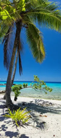 Grande Villa Privée 200m² sur Lagon, vue mer 180°