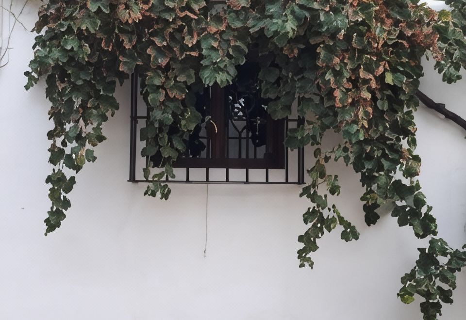 La Posada Amena (Carcabuey) - 2026 Prices, Reviews & Deals | Trip.com