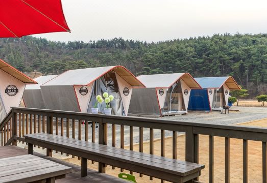 글램핑 외부 전경