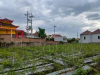 Flaz Villa Hotels in Tegalweru